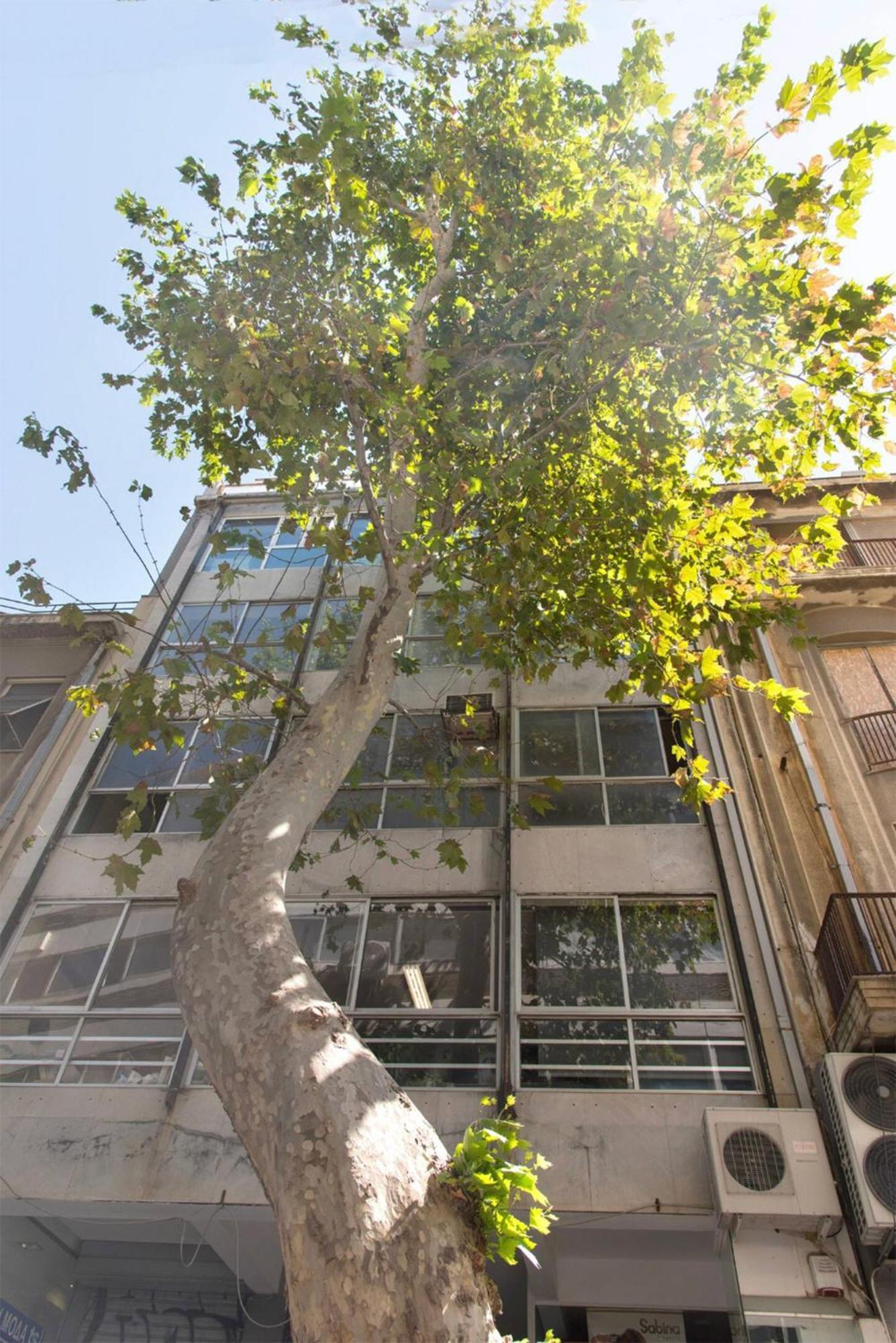 Am16 Suites Atina Dış mekan fotoğraf